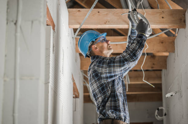 Best Electrical Troubleshooting Services  in Las Animas, CO